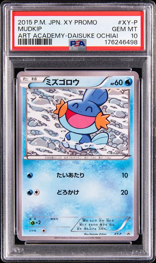 PSA 10 Gem Mint 2015 Pokémon Japanese XY Promo Mudkip, Art Academy
